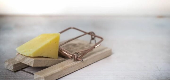 Wat is het beste lokaas voor muizenvallen?