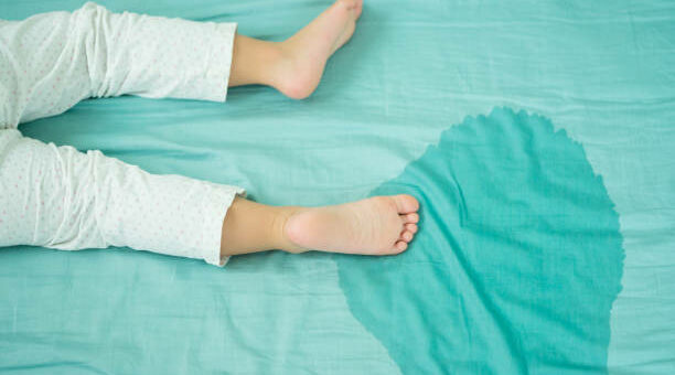 Bed plassen
